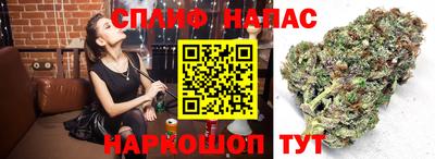 тгк Ставрополь