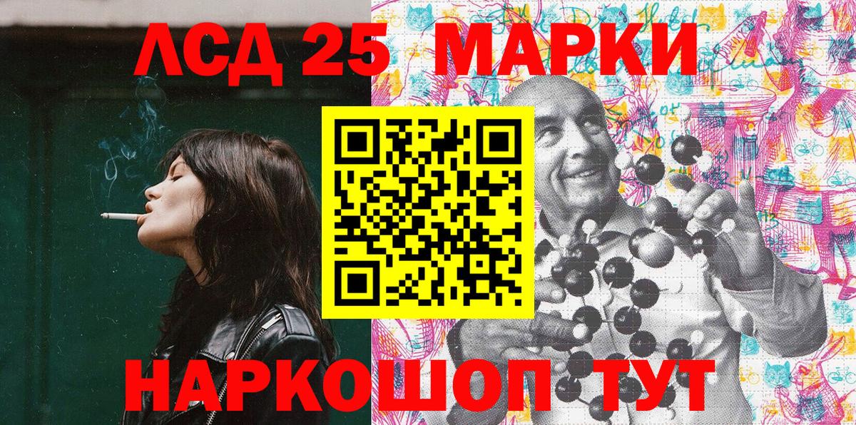 Псилоцибиновые грибы Кингисепп