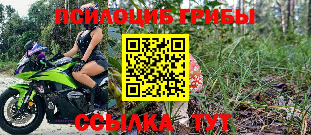 Псилоцибиновые грибы GOLDEN TEACHER  Псилоцибиновые грибы GOLDEN TEACHER  Вход с VPN  Кингисепп 