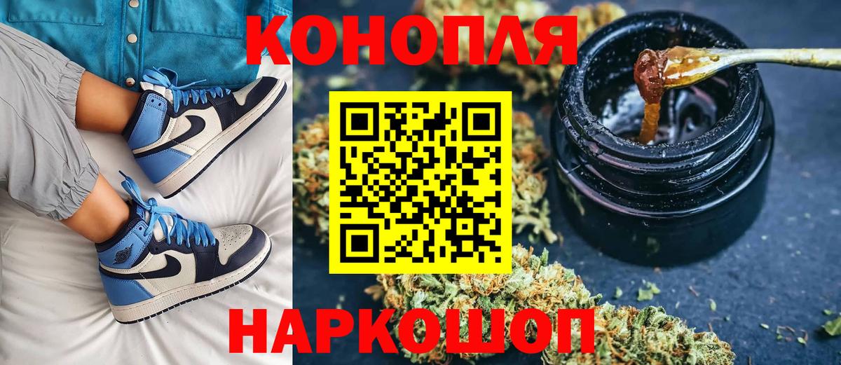 Кингисепп  Марихуана семена  Вход с VPN  Бошки марихуана White Widow  Конопля Ganja 